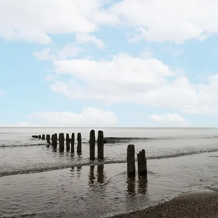 Shelstone * 惠特比